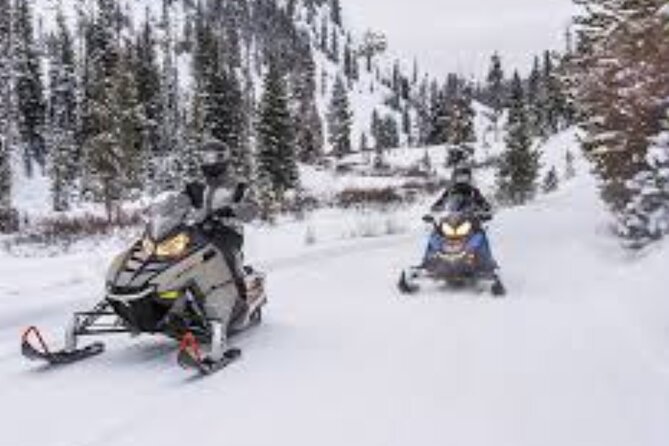 1.5-Hour Guided Snowmobiling Adventure - Riding tandem: the detail that changes the experience