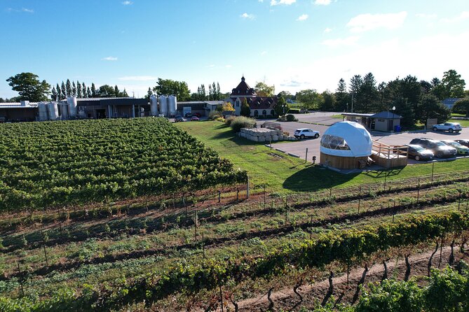 1 Hour Private Vineyard Dome Experience in Niagara-on-the-Lake - The timing can feel a little tight