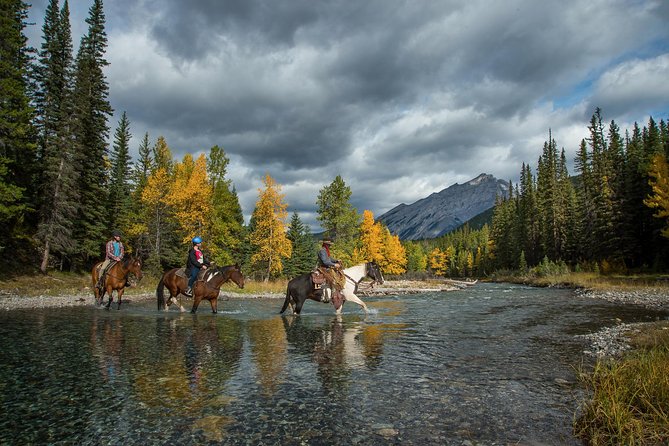 1 Hour Spray River Ride - Banff National Park: forests, mountains, and a town-side setting