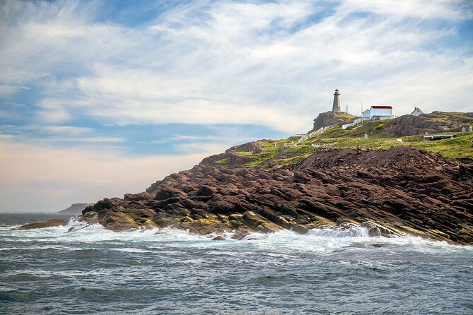 2 Hour Award-Winning Whale and Seabird Boat Tour from St. John's - The crew and the onboard atmosphere