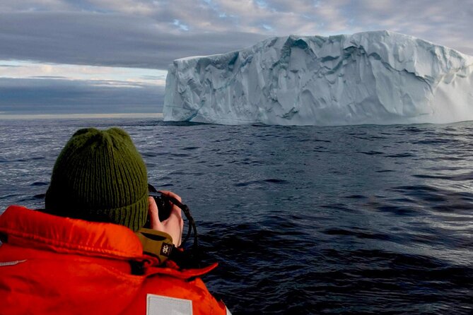 2 Hour Award-Winning Whale and Seabird Boat Tour from St. John's - Signal Hill and Cabot Tower from the water