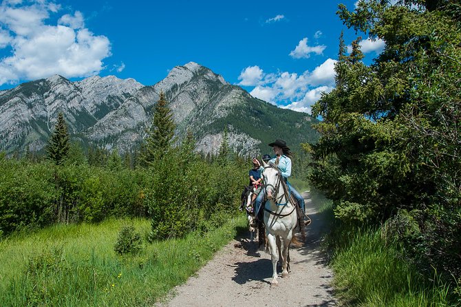 2 Hour Banff Horseback Riding Adventure - Climbing the Sulphur Mountain trails