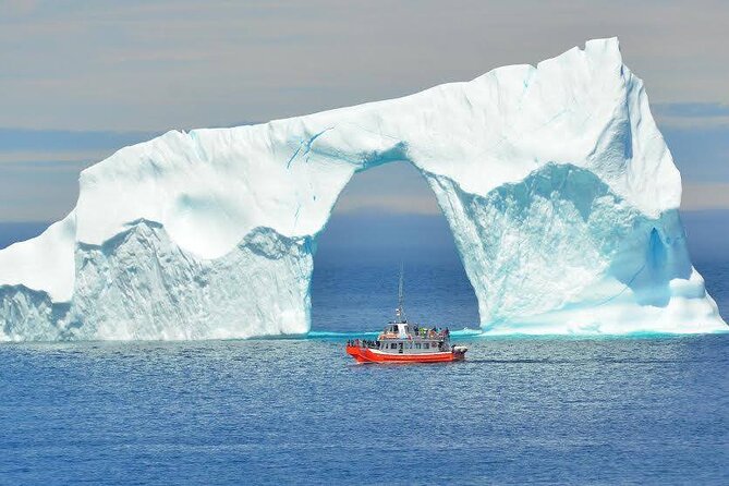 2 Hour Boat Tour in Twillingate - Leaving 52 Main Street for Iceberg Alley
