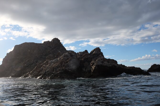 2 Hour Boat Tour in Twillingate - What the two hours really feel like