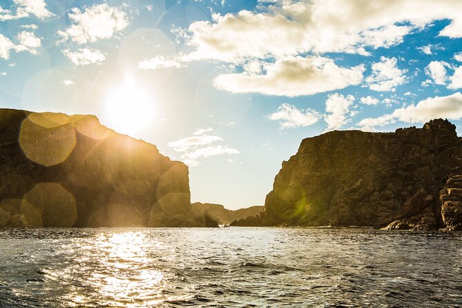 2 Hour Boat Tour in Twillingate - Is $112.66 a fair price?