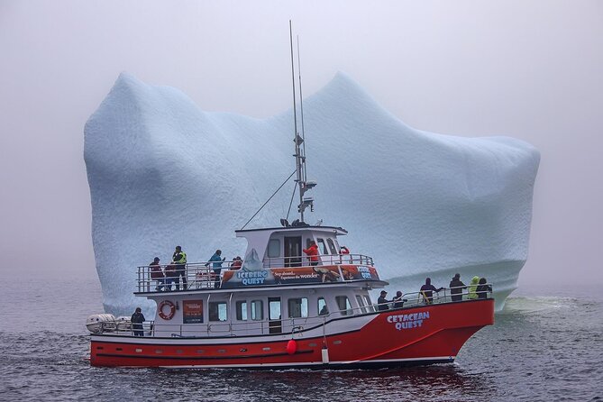 2 Hour Boat Tour in Twillingate - Searching for 12,000-year-old ice