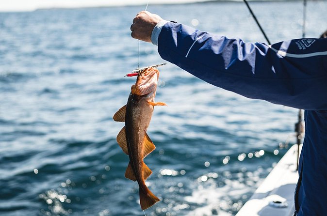 2 Hour Fishing Experience in Halifax - Georges Island and the ride back