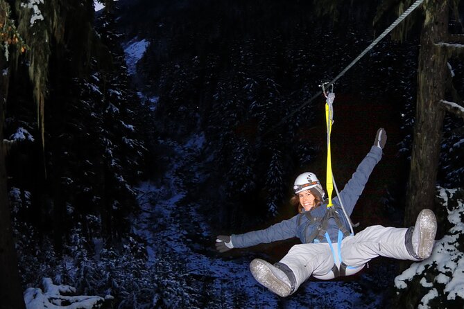 2 Hour Late Afternoon Winter Zipline Adventure - Four Lines Through the Forest