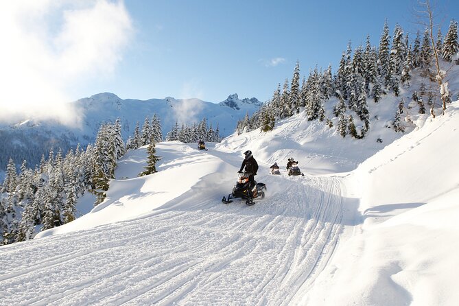 2 Hour Wilderness Adventure Snowmobile Tour in Whistler - Key points before you book