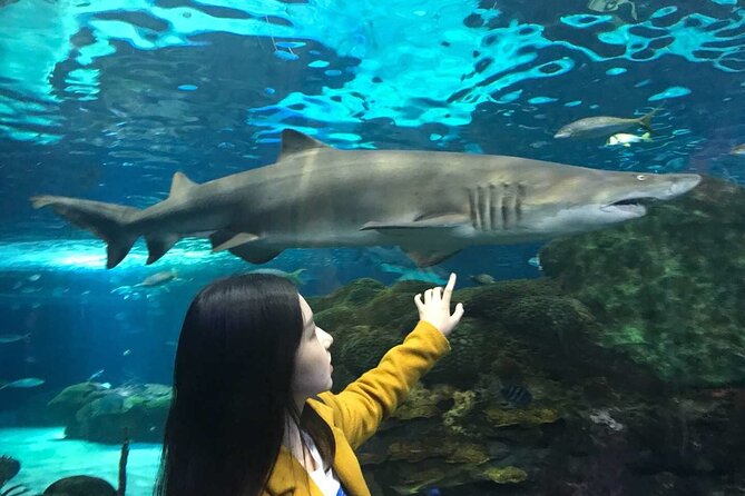 3 Day and 2 Night Tour: Toronto, 1000 Islands, and Niagara Falls - Key points to know before booking