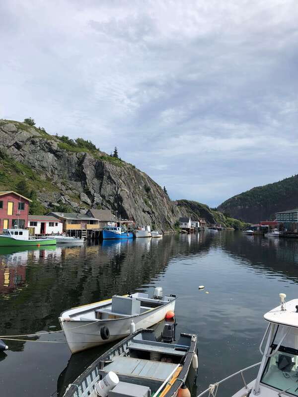 3 hour City Tour of St. John's, small group up to ten quests - Signal Hill opens the tour with a view