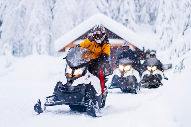 3 Hour Wilderness Adventure Tour in Whistler - Key points at a glance