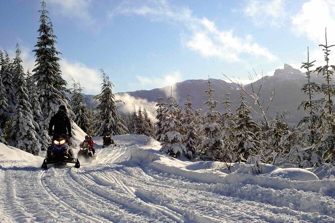 3 Hour Wilderness Adventure Tour in Whistler - What this three-hour Whistler adventure is really about