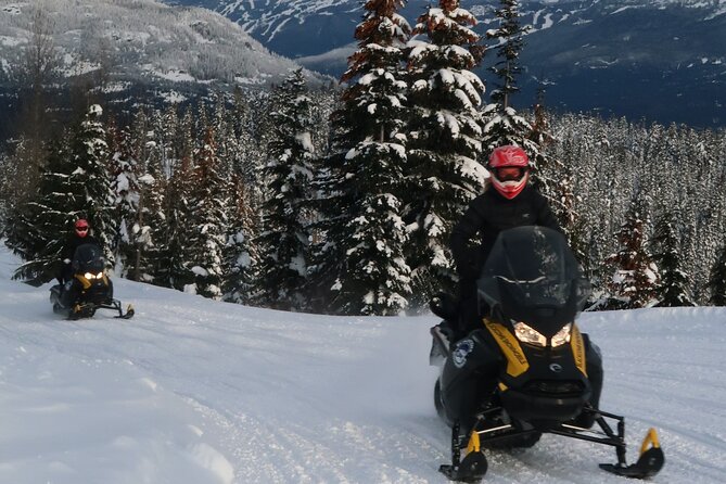 3 Hour Wilderness Adventure Tour in Whistler - Cabin, dome, and scenic photo stops