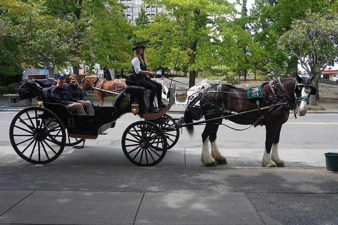 45-Minute By The Park Tour - Why this carriage ride works in Victoria