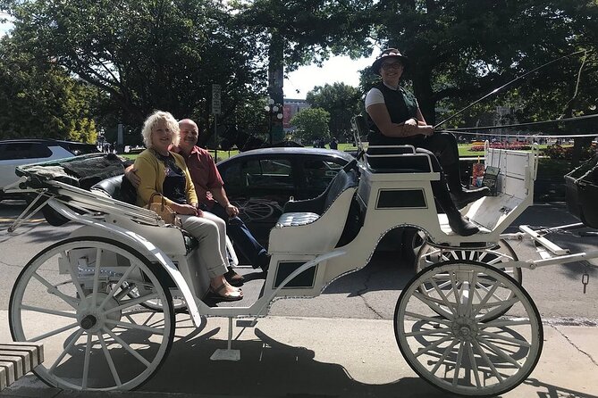 45-Minute By The Park Tour - Along the historic streets of James Bay