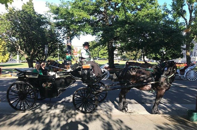 45-Minute By The Park Tour - The private carriage and group size