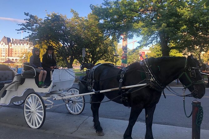 45-Minute By The Park Tour - Timing, meeting point, and cruise-day planning