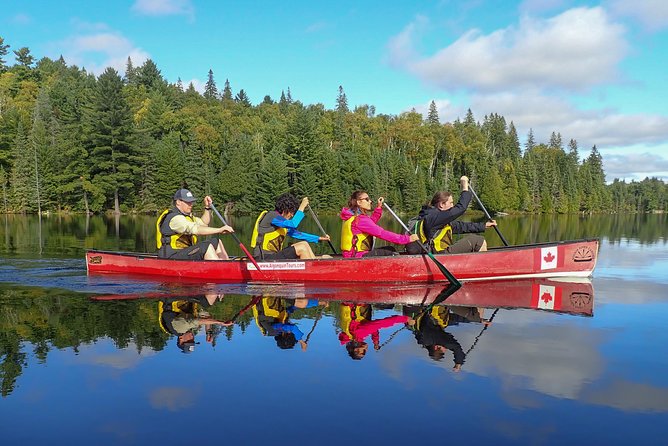 6 Hour Algonquin Park Canoe Trip - Six useful facts before you book