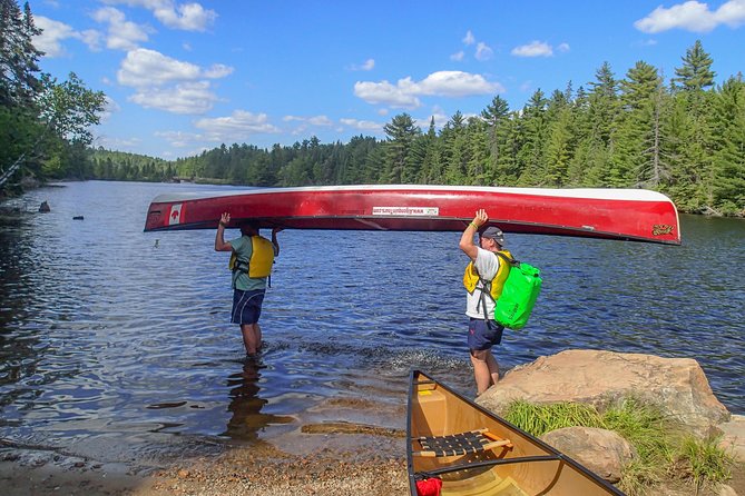 6 Hour Algonquin Park Canoe Trip - Wild food, park stories, and small discoveries