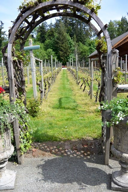 6-Hour Victoria to Cowichan Wine Tour - Practical details that make the day easier