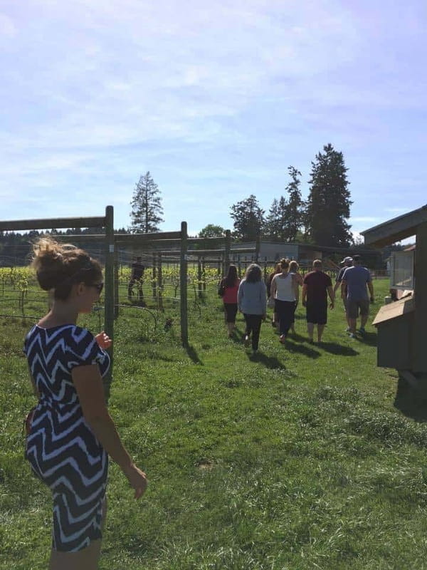 6-Hour Victoria to Cowichan Wine Tour - Leaving Victoria in a 14-passenger van