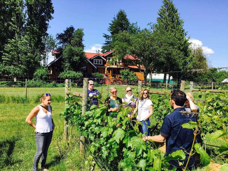 6-Hour Victoria to Cowichan Wine Tour - Enrico combines the first tasting with lunch
