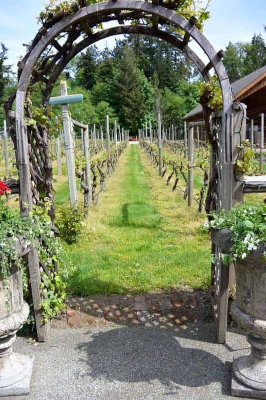 6-Hour Victoria to Cowichan Wine Tour - Blue Grouse keeps the middle of the day moving