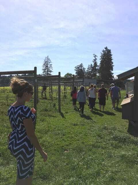 6-Hour Victoria to Cowichan Wine Tour - What kind of day should you expect?