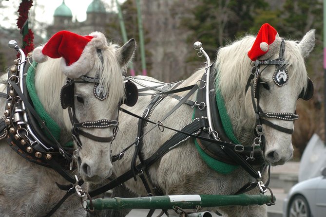 60-Minute Beacon Hill Park Tour - From the Empress Hotel to Victoria’s Inner Harbor