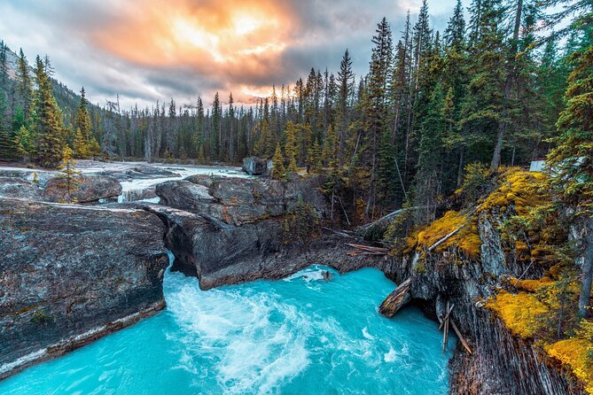 8 Iconic Stops. 12 Comfy Seats. See Banff's Best in First Class. - Peyto Lake is the quick stop worth remembering