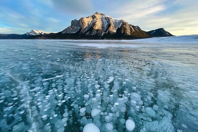 Abraham Ice Bubble/Sunwapta Falls,Snowshoeing,Icefield, Bow&Peyto - Waterfowl Lakes and the quieter side of the parkway