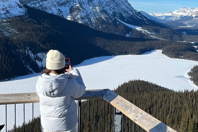 Abraham Ice Bubble/Sunwapta Falls,Snowshoeing,Icefield, Bow&Peyto - Abraham Lake and the famous ice bubbles