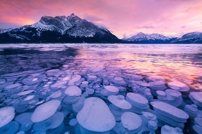 Abraham IceBubble, Peyto, Bow Lake with Snowshoeing& Icewalk - Key points before you book
