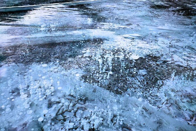 Abraham IceBubble, Peyto, Bow Lake with Snowshoeing& Icewalk - The driving is part of the bargain