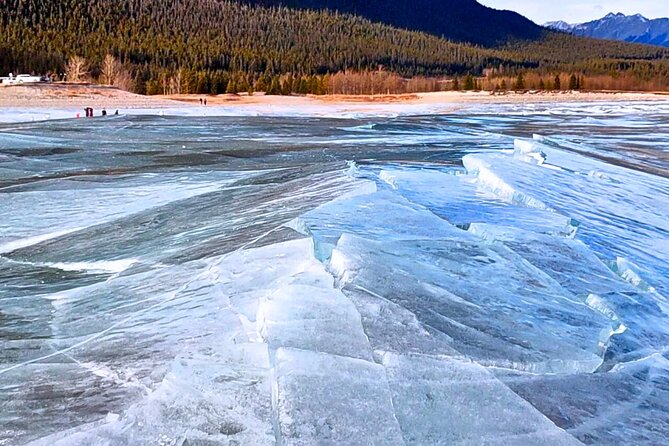 Abraham IceBubble, Peyto, Bow Lake with Snowshoeing& Icewalk - Is $74.35 good value?