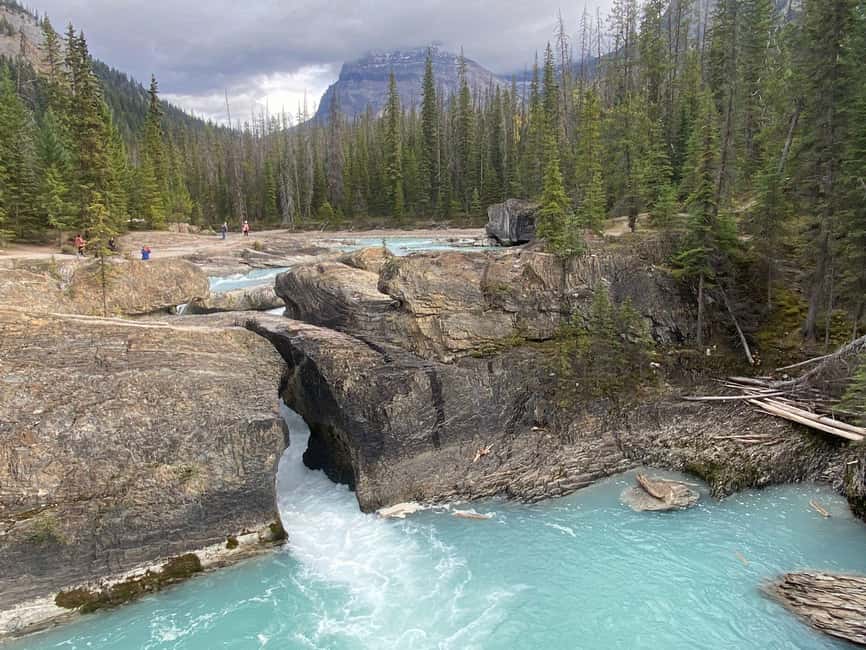 Abraham IceBubble, Peyto, Lake Louise, Bow Lake, Snowshoeing - Guides, photography, and the human side
