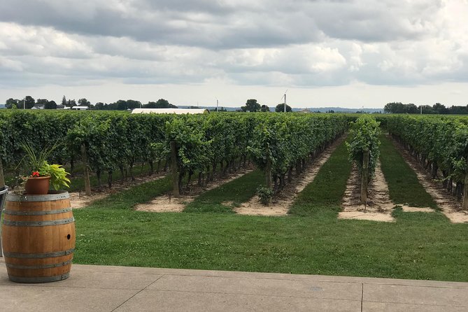 Afternoon Wine, Beer and Charcuterie Tour in Niagara-on-the-Lake - Niagara Oast House Brewers: a beer-first opening