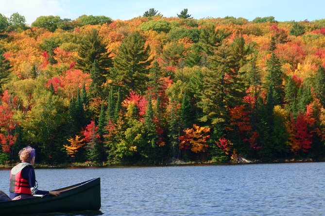 Algonquin Park 3-Day Deluxe Camping & Canoeing Adventure - What You Are Really Buying for $368.01