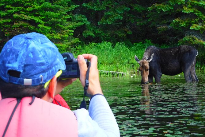 Algonquin Park 3-Day Deluxe Camping & Canoeing Adventure - Day Three: Sunrise on the Water