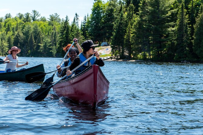 Algonquin Park 3-Day Deluxe Camping & Canoeing Adventure - Who Should Book This Algonquin Trip?
