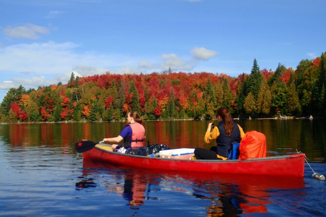 Algonquin Park 4-Day Deluxe Camping & Canoeing Adventure - Key points to know before booking