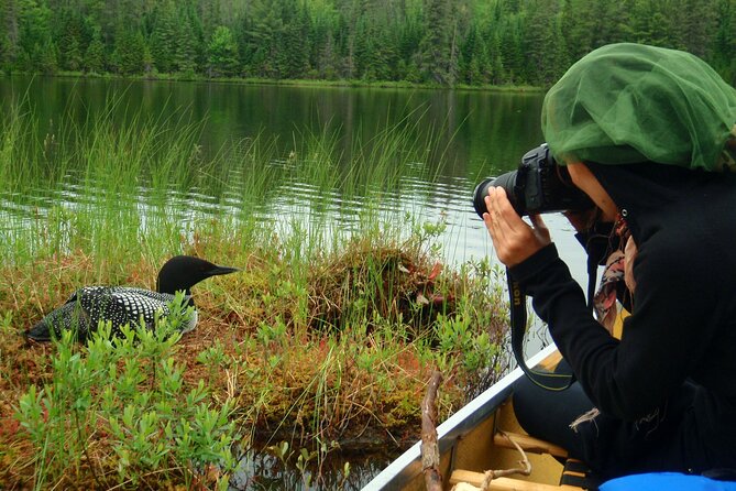 Algonquin Park 4-Day Deluxe Camping & Canoeing Adventure - Day four: sunrise, hot chocolate, and the trip home