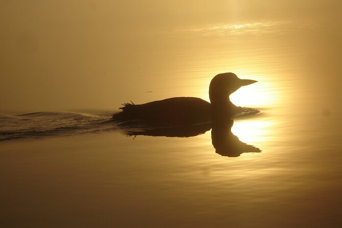 Algonquin Park 4-Day Deluxe Camping & Canoeing Adventure - Food, tents, and the meaning of deluxe