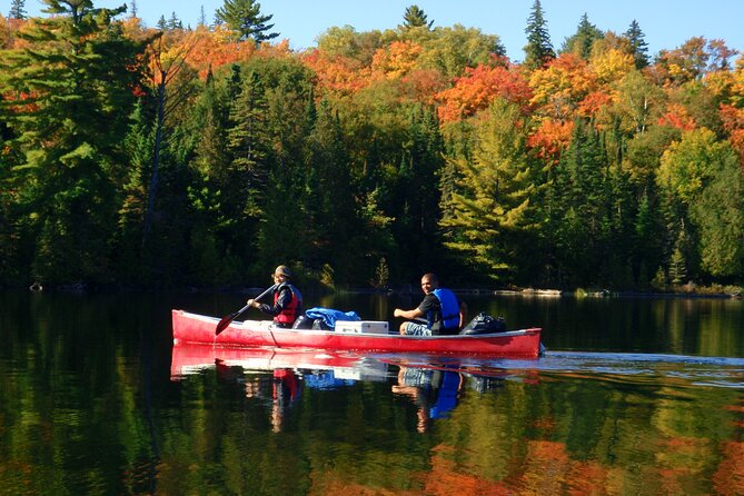 Algonquin Park 4-Day Deluxe Camping & Canoeing Adventure - Day one: paddling into an isolated campsite