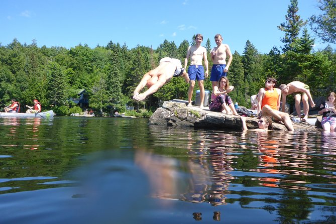 Algonquin Provincial Park Day Tour from Toronto - Key points to know before you go