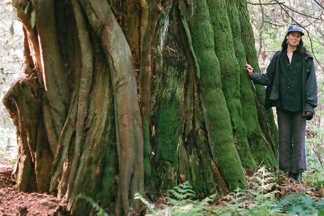 Ancient Trees of Vancouver Walking Tour - What you see on the three-hour route