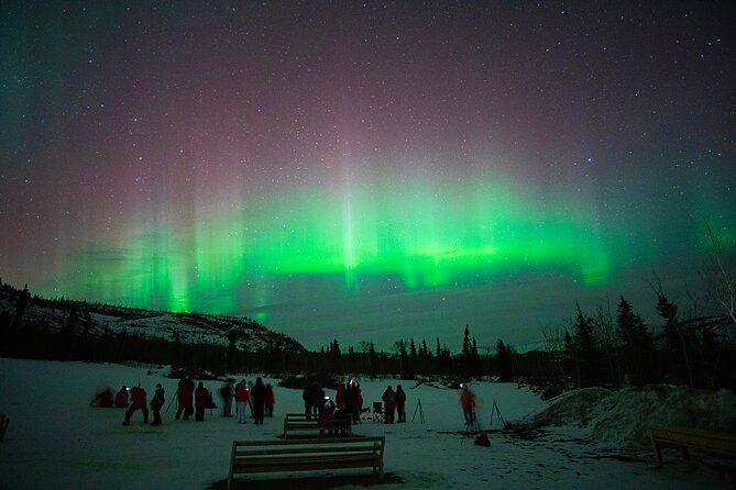 Arctic Day: Aurora Viewing Tour | late night - Waiting indoors, then stepping into the cold