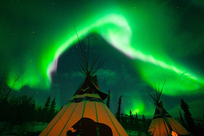 Arctic Day: Aurora Viewing Tour | late night - The science and stories behind the green light