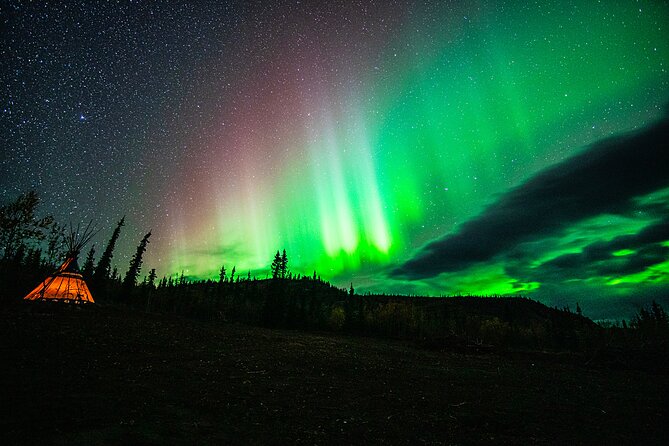 Arctic Day: Aurora Viewing Tour | late night - Pickup from The Sternwheeler Hotel at 11:20 p.m.